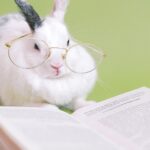 cute rabbit with eyeglasses